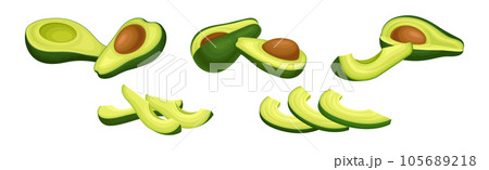 Avocado or Alligator Pear as Large Edible Berry with Seed Vector Set Avocado or Alligator Pear as Large Edible Berry with Seed Vector Set 105689218