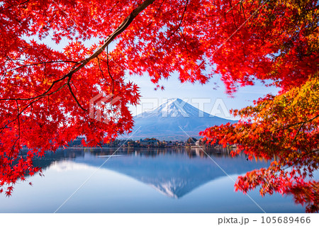 【山梨県･富士山･河口湖】逆さ富士と紅葉の共演 11月 105689466