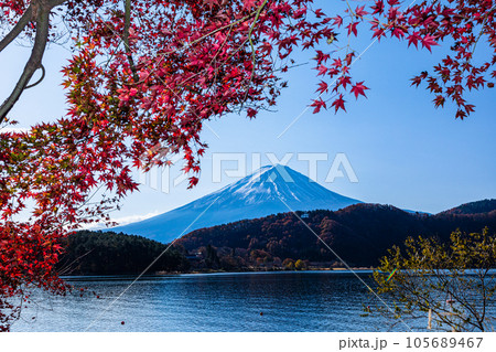 【山梨県･富士山･河口湖】富士山と紅葉が織り成す日本の秋 11月  105689467