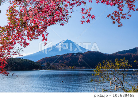 【山梨県･富士山･河口湖】富士山と紅葉が織り成す日本の秋 11月  105689468