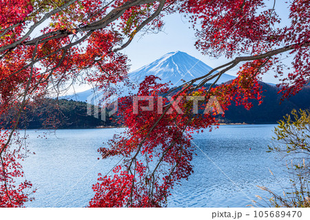 【山梨県･富士山･河口湖】富士山と紅葉が織り成す日本の秋 11月  105689470