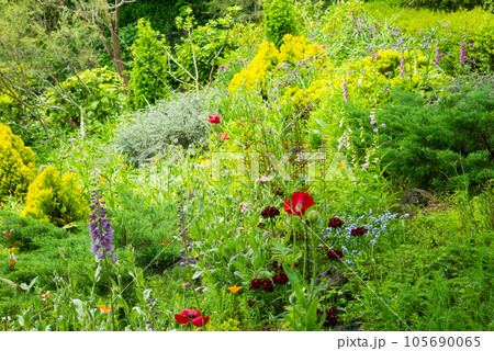 《神戸市》山間部に位置する植物園 布引ハーブ園/ 105690065