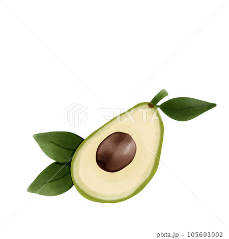 fresh green avocados on white background 105691002