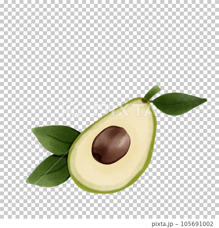 fresh green avocados on white background 105691002