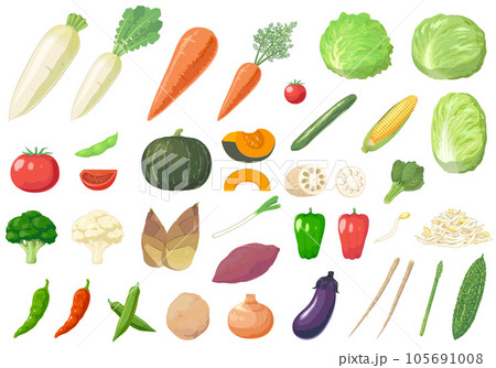 野菜のセットイラスト 野菜のセットイラスト 105691008