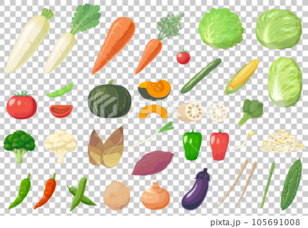 野菜のセットイラスト 105691008