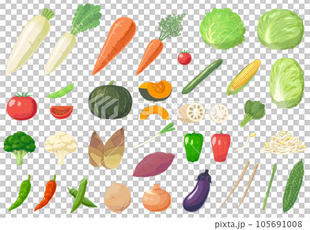 野菜のセットイラスト 野菜のセットイラスト 105691008