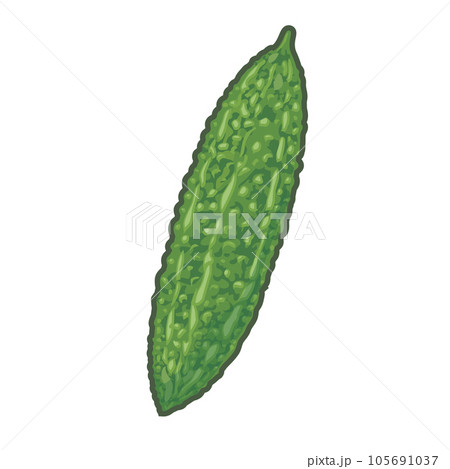 ゴーヤーのイラスト 105691037