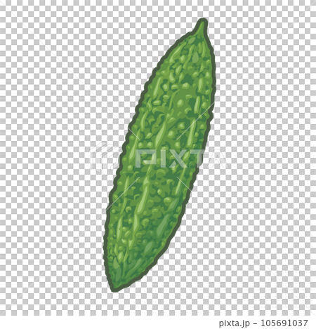 ゴーヤーのイラスト 105691037