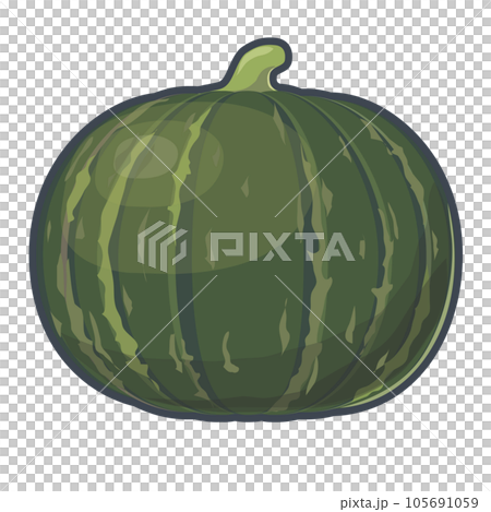 Pumpkin illustrations 105691059