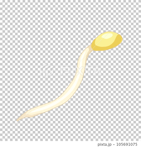 豆芽的插圖 105691075