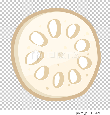 レンコンのイラスト レンコンのイラスト 105691090