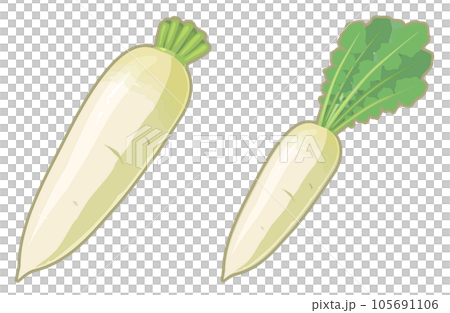 だいこんのセットイラスト 105691106
