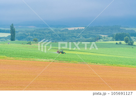 （北海道）夏の美瑛・赤麦の丘　田園風景 105691127