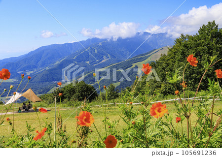 夏の岩岳マウンテンリゾート 105691236