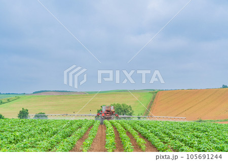 (北海道)美瑛の丘 トラクターを使った消毒作業 夏 (北海道)美瑛の丘 トラクターを使った消毒作業 夏 105691244
