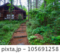 八ヶ岳の別荘地への小道 105691258