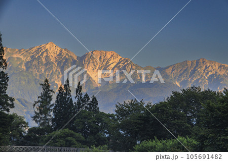 真夏の早朝大出公園と白馬三山 105691482