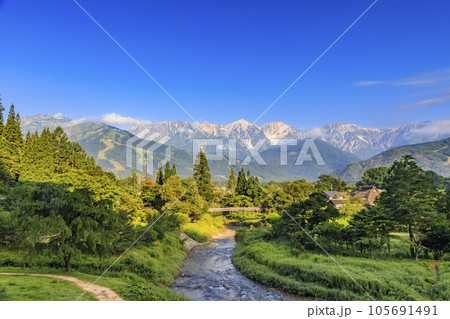 真夏の早朝大出公園と白馬三山 105691491