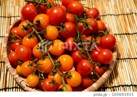 家庭菜園で人気のカラフルミニトマト 105691933