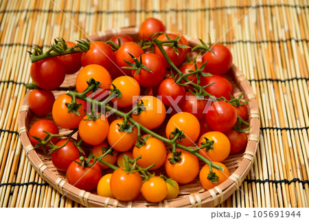 家庭菜園　沢山採れた　人気のフレッシュミニトマト 105691944