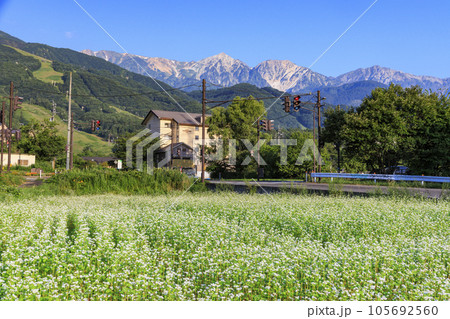白馬村夏の風景 白馬三山八方尾根 白馬村夏の風景 白馬三山八方尾根 105692560