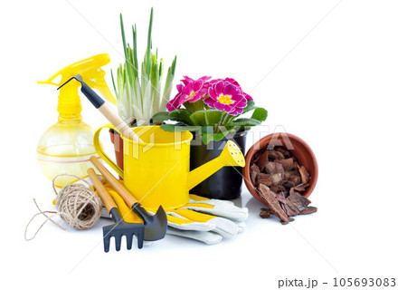 Garden tools and spring flowers on white background. Gardening concept. Garden tools and spring flowers on white background. Gardening concept. 105693083