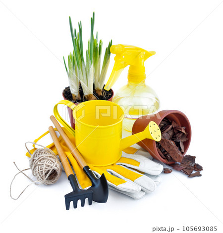 Garden tools, gloves, watering can on white background. Gardening concept. Preparation for work Garden tools, gloves, watering can on white background. Gardening concept. Preparation for work 105693085