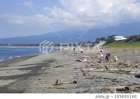 ビーチクリーン活動をする人々 105693140