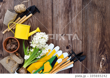 Garden tools, hyacinth flowers and plants on a rustic wooden background, frame. 105693242