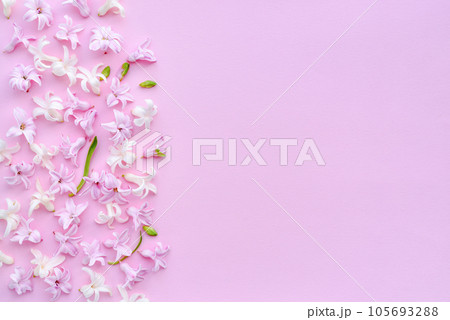 Floral border of fresh hyacinth flowers on pink background. Flat lay, top view, copy space 105693288