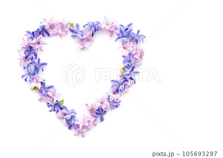 Heart symbol made of fresh hyacinth flowers isolated on white background. Heart symbol made of fresh hyacinth flowers isolated on white background. 105693297