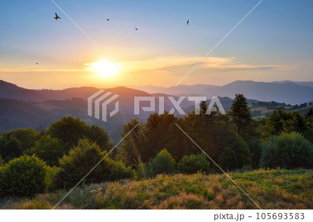 Fantastic sunset and bright grass in sunlight. Carpathian, Ukraine, Europe. Fantastic sunset and bright grass in sunlight. Carpathian, Ukraine, Europe. 105693583