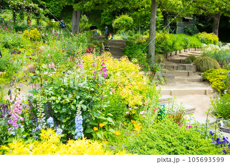 《神戸市》山間部に位置する植物園 布引ハーブ園/ 105693599