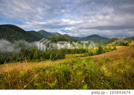 Amazing mountain landscape with fog and colorful herbs. Authumn morning after rain. Amazing mountain landscape with fog and colorful herbs. Authumn morning after rain. 105693674