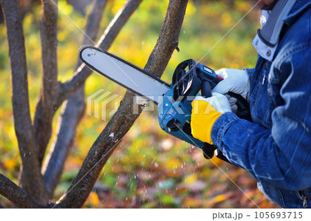 A gardener pruns trees with a lightweight cordless chain saw. Work in the autumn garden. A gardener pruns trees with a lightweight cordless chain saw. Work in the autumn garden. 105693715