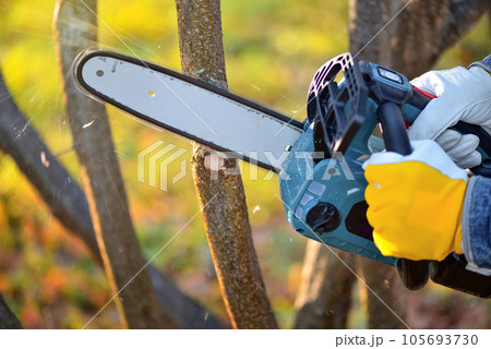 A gardener pruns trees with a lightweight cordless chain saw. Work in the autumn garden. 105693730