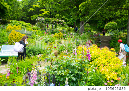 《神戸市》山間部に位置する植物園 布引ハーブ園/ 105693886