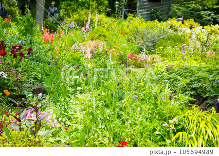 《神戸市》山間部に位置する植物園 布引ハーブ園/ 105694989