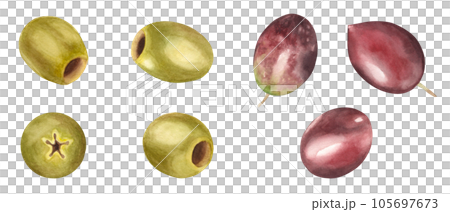 Green and red, brown olives set isolated on white background. Watercolor hand drawn botanical illustration. Can be used for menu, product package and food design Green and red, brown olives set isolated on white background. Watercolor hand drawn botanical illustration. Can be used for menu, product package and food design 105697673