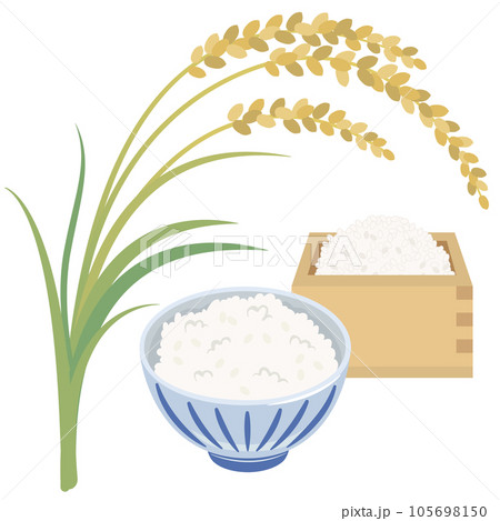 稲穂と升に入ったお米とご飯 稲穂と升に入ったお米とご飯 105698150