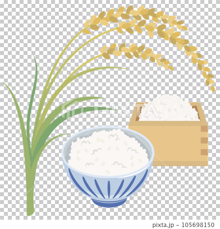 稻稈和馬蘇中的米飯和米飯 稻稈和馬蘇中的米飯和米飯 105698150