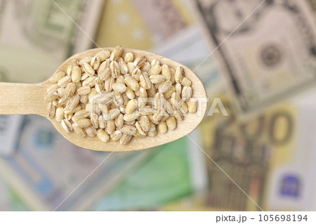 Wheat Price Background. Food Crisis. Cereal Grain Price Raising. Foodstuff Cost Concepts. Agriculture Industry Grow. Wood Spoon with Wheat on Paper Currency Backdrop. Farming, Trade. Barley. Wheat Price Background. Food Crisis. Cereal Grain Price Raising. Foodstuff Cost Concepts. Agriculture Industry Grow. Wood Spoon with Wheat on Paper Currency Backdrop. Farming, Trade. Barley. 105698194