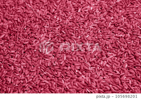 Uncooked Red Rice Wallpaper. Long Brown Rice Rotating. Close Up. Grains fall poured a stack. Photo Toned By Viva Magenta Color. Uncooked Red Rice Wallpaper. Long Brown Rice Rotating. Close Up. Grains fall poured a stack. Photo Toned By Viva Magenta Color. 105698201