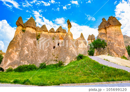 Place in Cappadocia-Fairy Chimneys (Pasabag Valley). 105699120