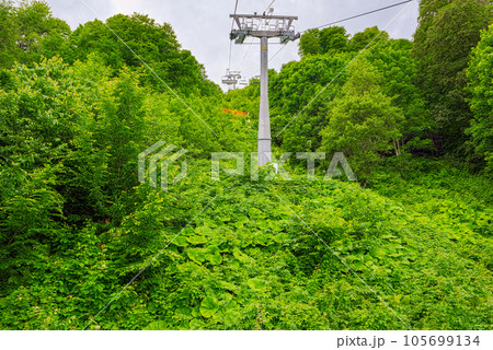 Rosa Khutor 105699134