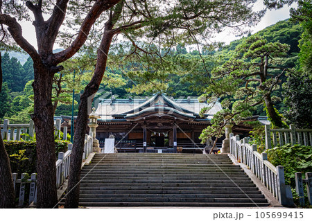 函館八幡宮の風景 函館八幡宮の風景 105699415
