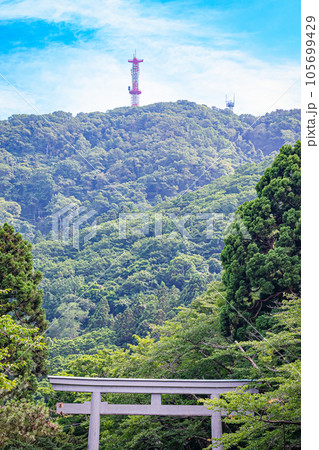 函館八幡宮の風景 函館八幡宮の風景 105699429