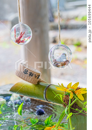 函館八幡宮の風景 函館八幡宮の風景 105699444