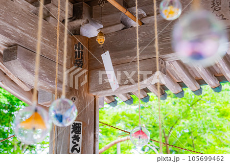函館八幡宮の風景 函館八幡宮の風景 105699462